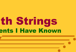 Things With Strings: Musical Instruments I Have Known